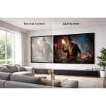 Fixed Frame Projector Screen