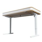 Motioncraft L5 motorized standing desk