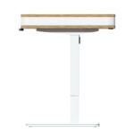 Motioncraft L5 motorized standing desk