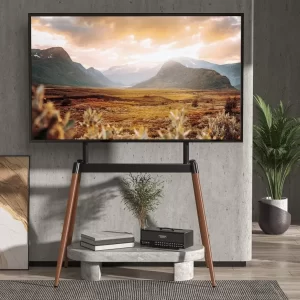 Tono-Skara-TV-Floor-Stand-Fits-55-86-TV-40kg-Capacity-17-873x873_result