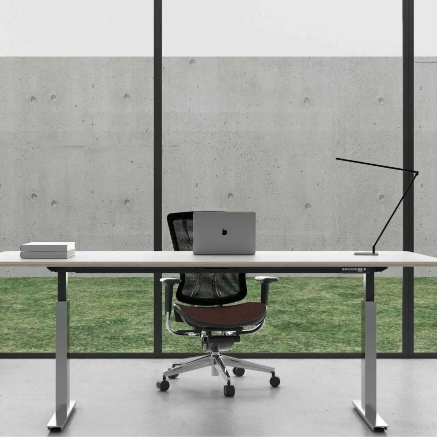 Stellion – Premium Motorized Stand-Up Desk