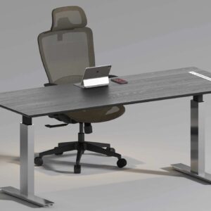 Stellion Premium Motorized Stand-Up Desks (3)