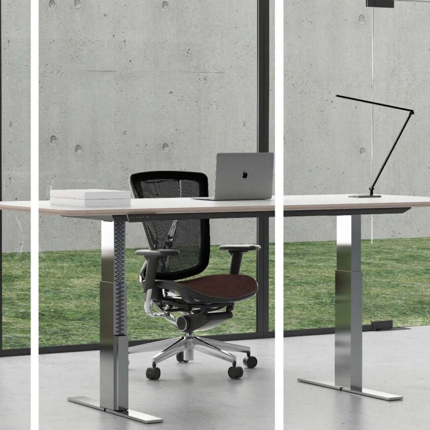 Stellion – Premium Motorized Stand-Up Desk